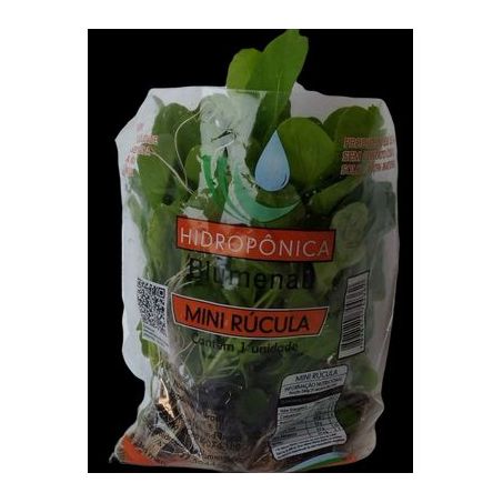 MINI RUCULA HIDROPONICA BLUMENAU