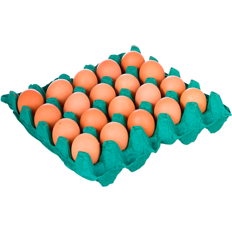 ovos vermelho bento bandeja c/20unid