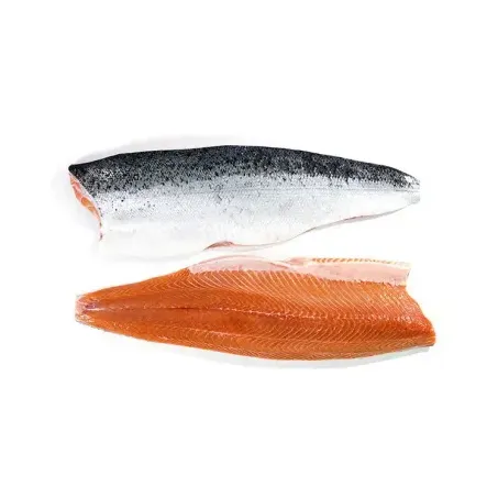 Filé Salmão Fishoo Congelado 500g