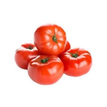 TOMATE LONGA VIDA KG