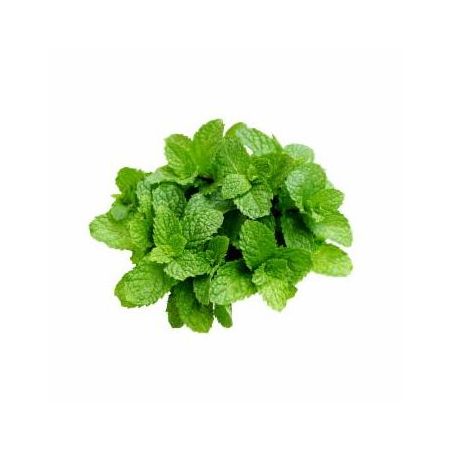 Hortela un