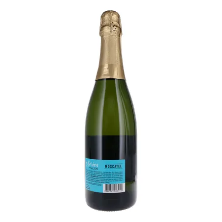 ESPUMANTE SALTON SERIES MOSCATEL 750ML 360-20