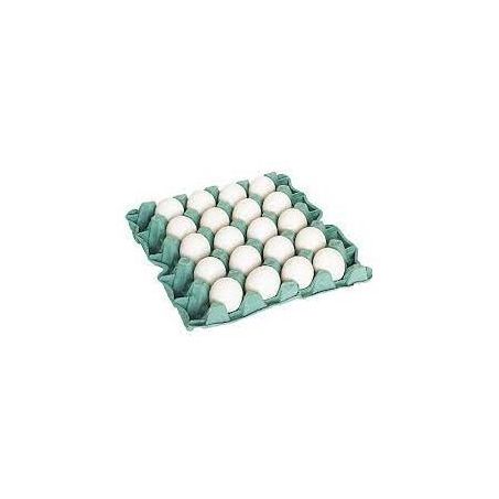 Ovos Branco Prata Extra Com 20