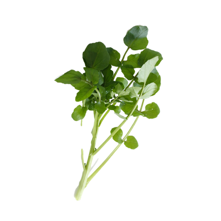 Agrião Pra Mesa 100g