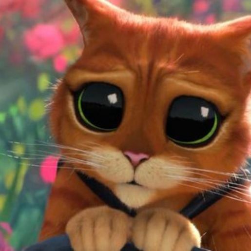 Gato de Botas 2 - O Último Pedido em 3D estreia nesta quinta no Cine Peperi