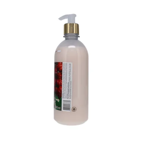 Sabonete Líquido H2OH! Pitanga Frasco 500ml 360-12