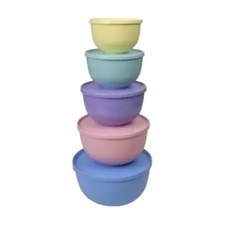 Conjunto Tigelas Dup Santiago 5pçs Color