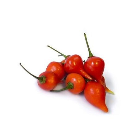 Pimenta bico doce bj 100g