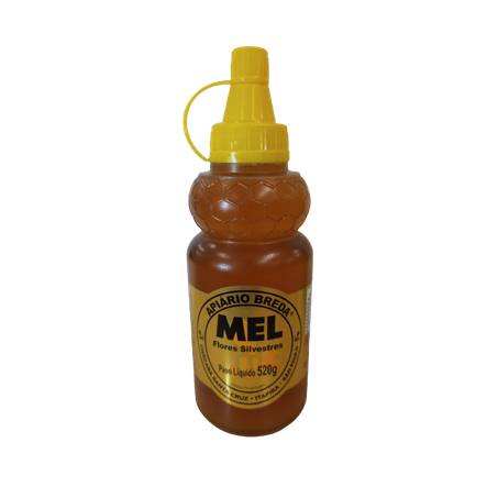Mel Silvestre Breda Bisnaga 520g