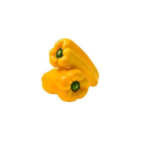 PIMENTAO AMARELO KG