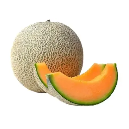 Melao Cantaloupe Bee Org Kg