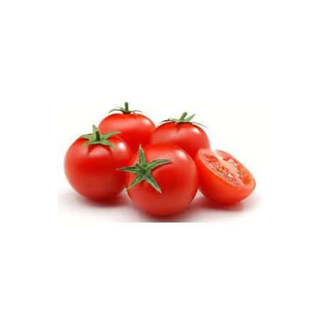 TOMATE HOLANDES KG