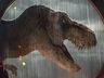 Jurassic World Domínio estreia nesta quinta-feira no Cine Peperi; confira