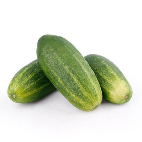 PEPINO SALADA KG