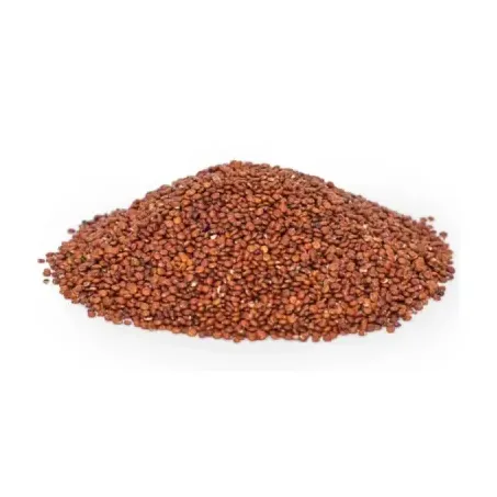 Quinoa Vermelha Grão kg