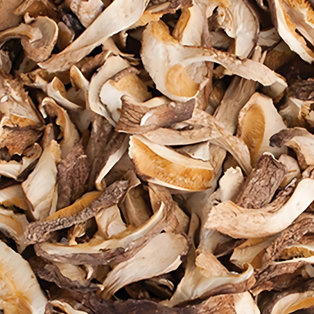 SHITAKE KG