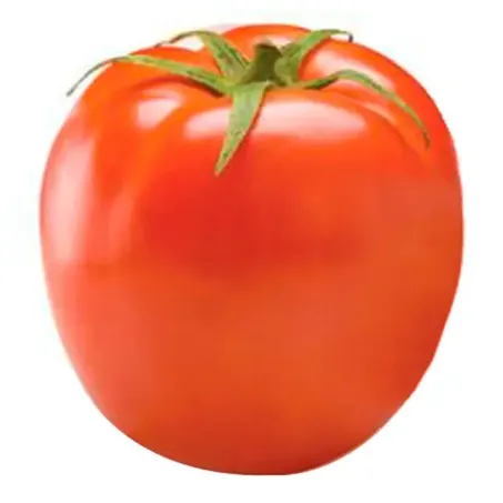 TOMATE GAUCHO KG
