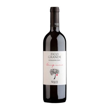 BEB. VINHO PORTADA BRANCO LOTE DFJ 2023 750ML