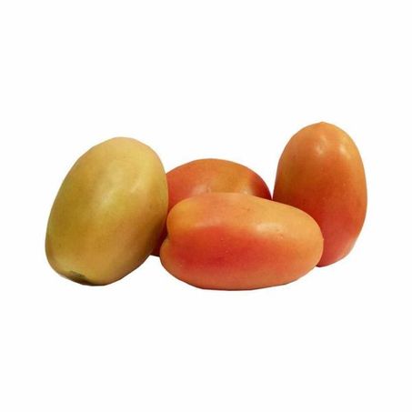 Tomate Italiano Kg