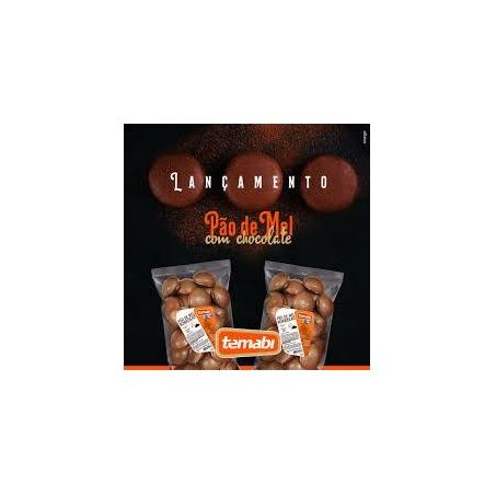 Pão de mel temabi com chocolate 260g