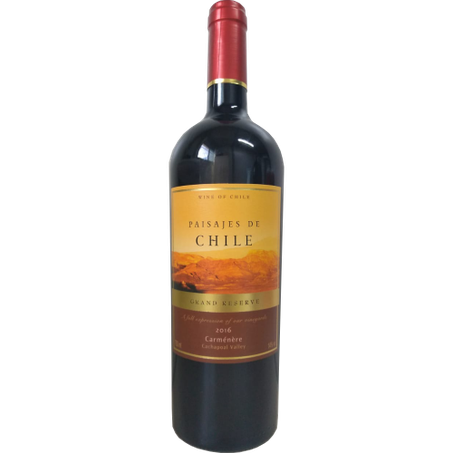 Vinho chileno paisajes de chile gran reserva carménère 750ml