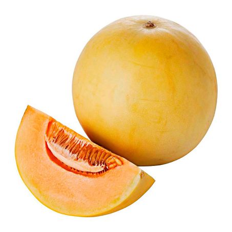 MELÃO ORANGE 360-1