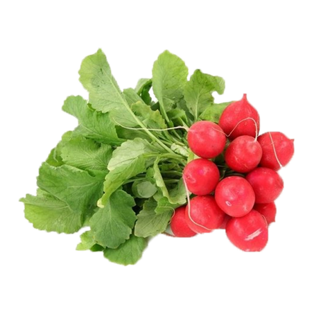 RABANETE MOLHO UN