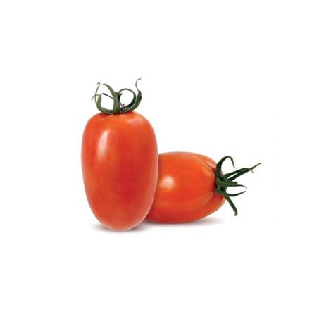 Tomate rasteiro
