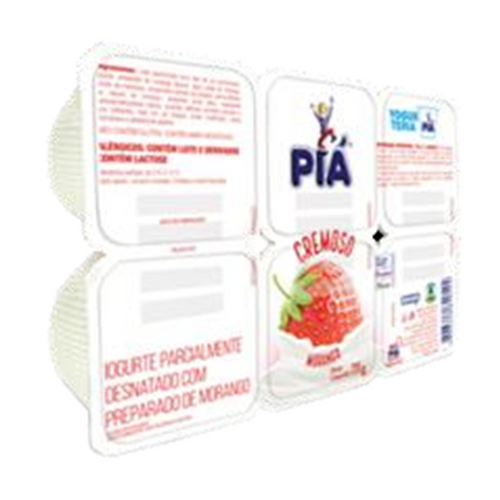 IOGURTE PIALAC MORANGO SEMIDESNATADO BDJ 540G