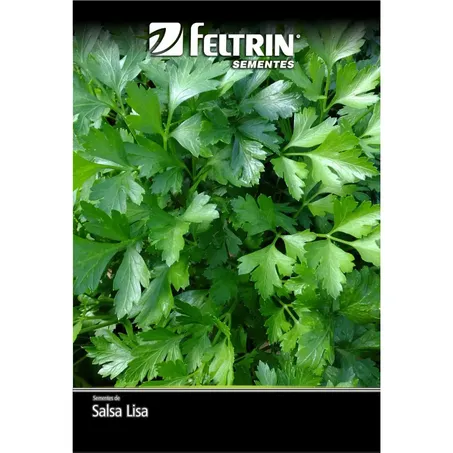 Semente feltrin salsa lisa