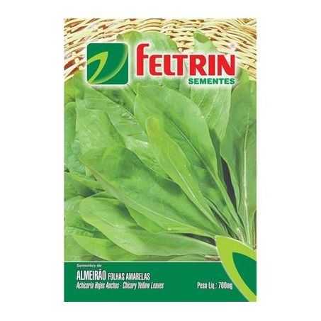 Sementes almeirão folhas amarelelas feltrin