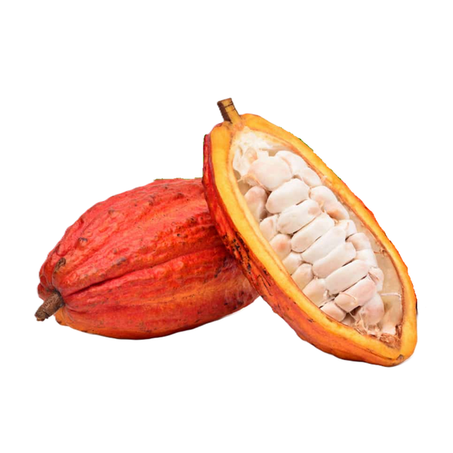 Cacau Kg