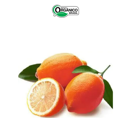 LIMAO ROSA ORGANICO 400G