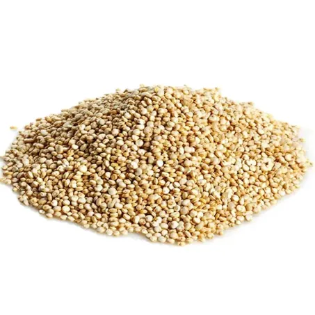 QUINOA KG