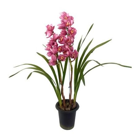 FLOR CYMBIDIUM 1 HASTE