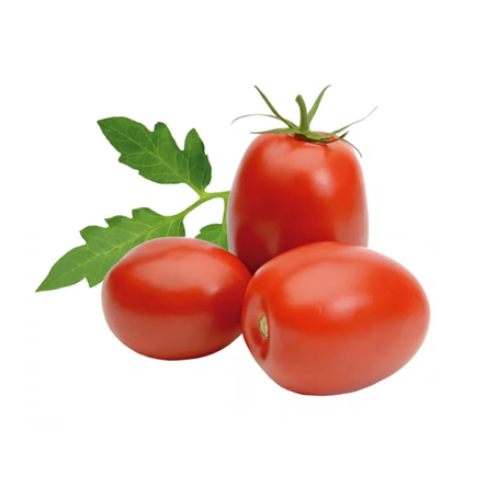 TOMATE ITALIANO KG