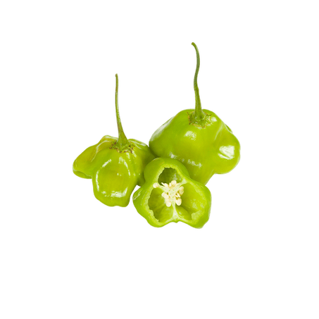 Hort pimenta cambuci kg