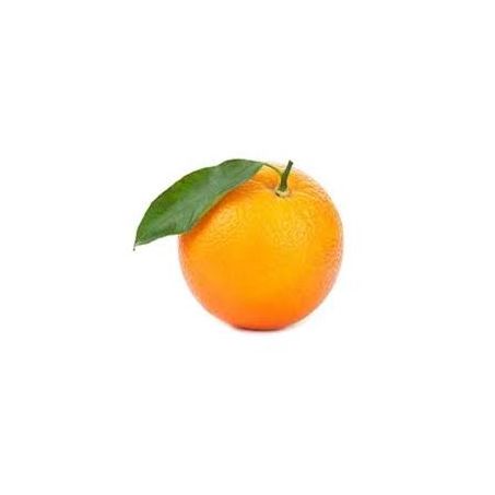 LARANJA SUCO VALENCIA KG 