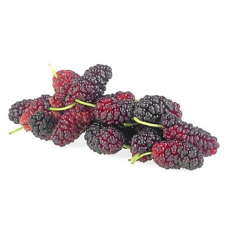 AMORA 100g