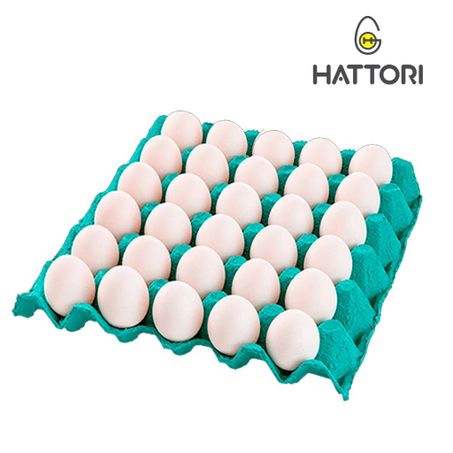 OVO BRANCO GRANJA HATTORI COM 30UN