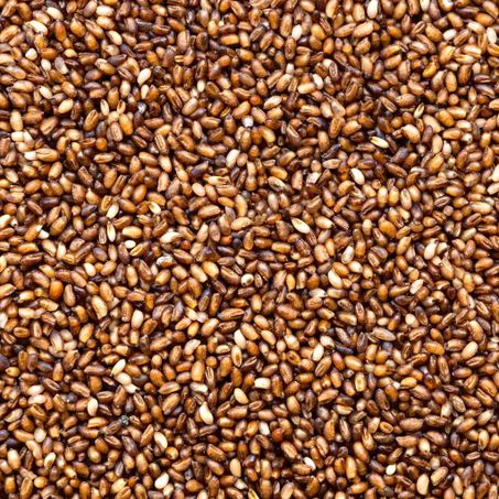 TEFF EM GRAO KG