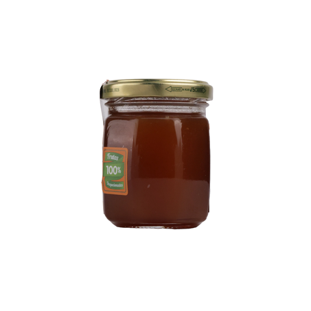 GELEIA TRADICIONAL DE PESSEGO 250G BOM PRINCIPIO 360-15