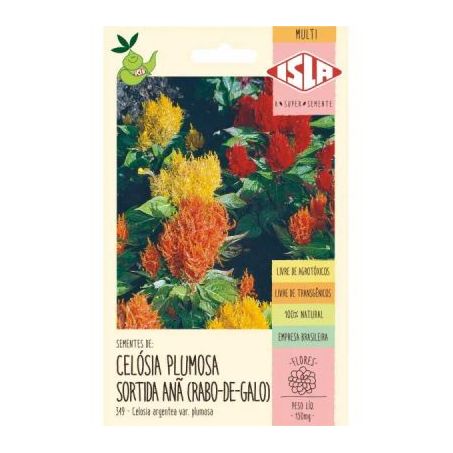 Sem.isla pak celosia plum.sort.rabo galo
