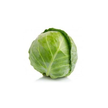Repolho Amanha Verde Organico Verde Un 1,5kg