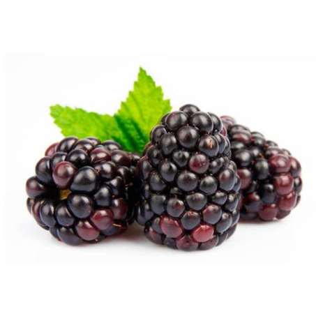 Fruta amora bdj 250g