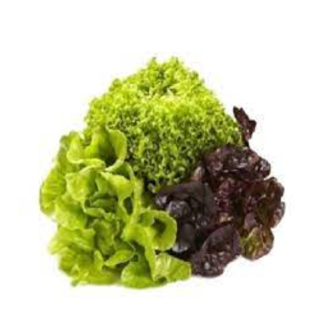 Salada Bicolor Rural 180g