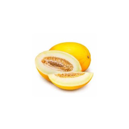 MELAO KG