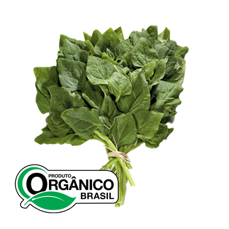 Espinafre Cheiro Verde Orgânico 200g