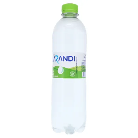 Água Mineral Sarandi Com Gás 500ml 360-4