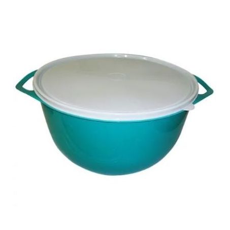 Bacia com tampa tritec 10l 2939